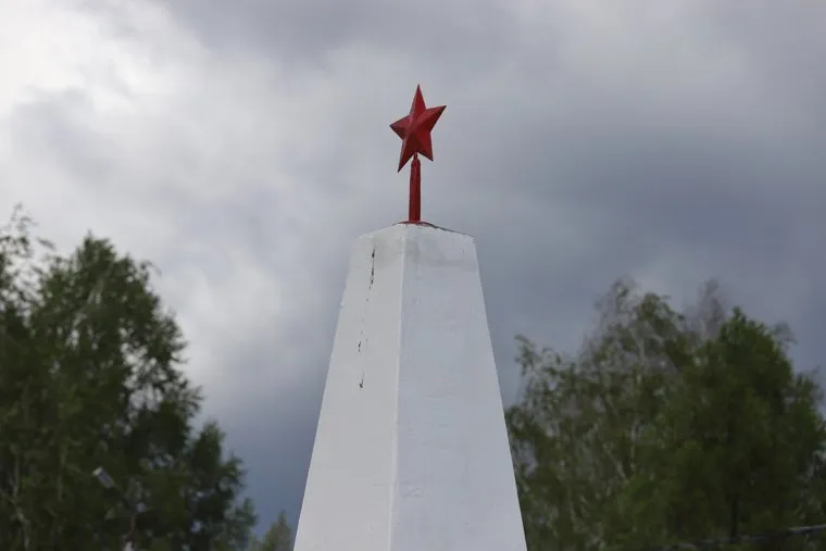 Себянина Александра. Далматово.  Курган