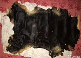 «Берут в „добрые“ руки и освежевывают»