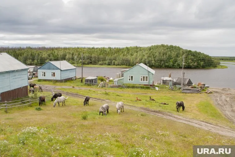 Поселок Пельвож административно является районом Салехарда
