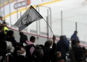 Фотография из галереи