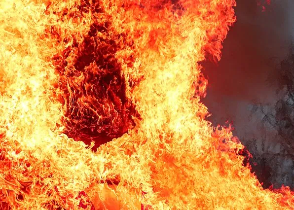 Фотография из галереи