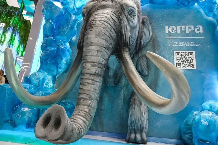 Стенд ХМАО на выставке "Россия" на ВДНХ. Москва