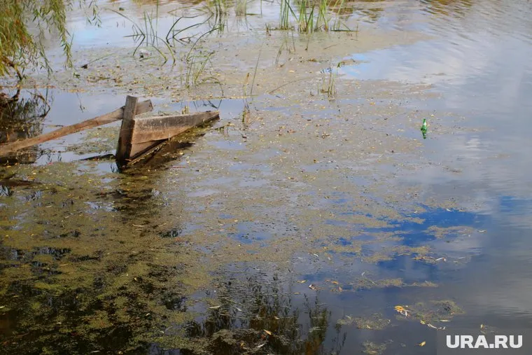 Автомобиль вместе с пассажирами рухнул в реку