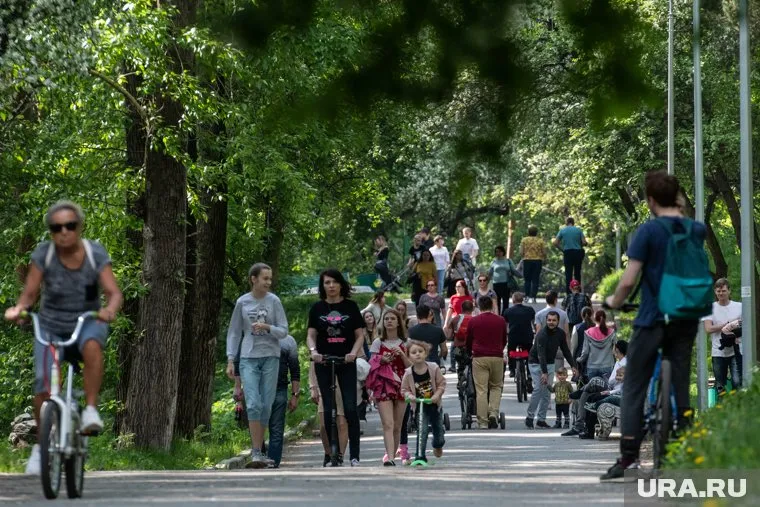 Гарантированный доход приведет к тому, что россияне перестанут работать, считает экономист Сергей Жаворонков