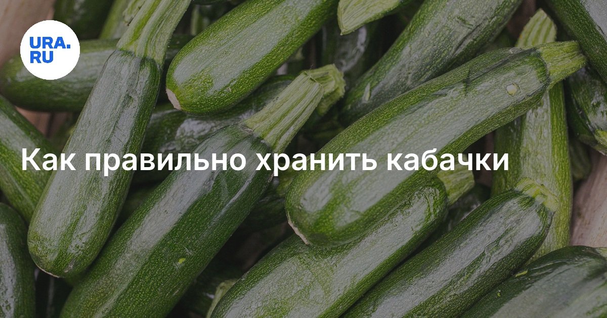 Как правильно хранить кабачки
