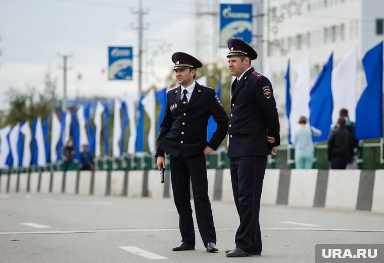 10 ноября в России отмечается День сотрудника органов внутренних дел РФ
