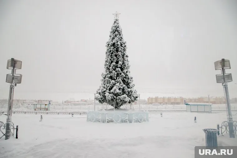 Город украсили, но не так, как обещали