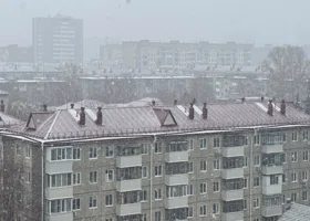 Фотография из галереи