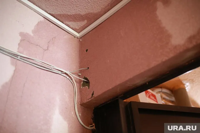 В Салехарде из-за протечки крыши горожане вынуждены терпеть плесень на стенах