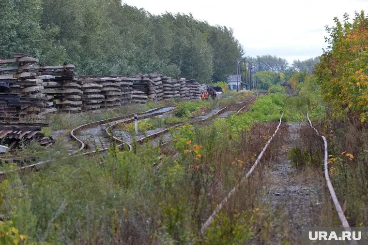 На железнодорожной насыпи накануне вспыхнула трава