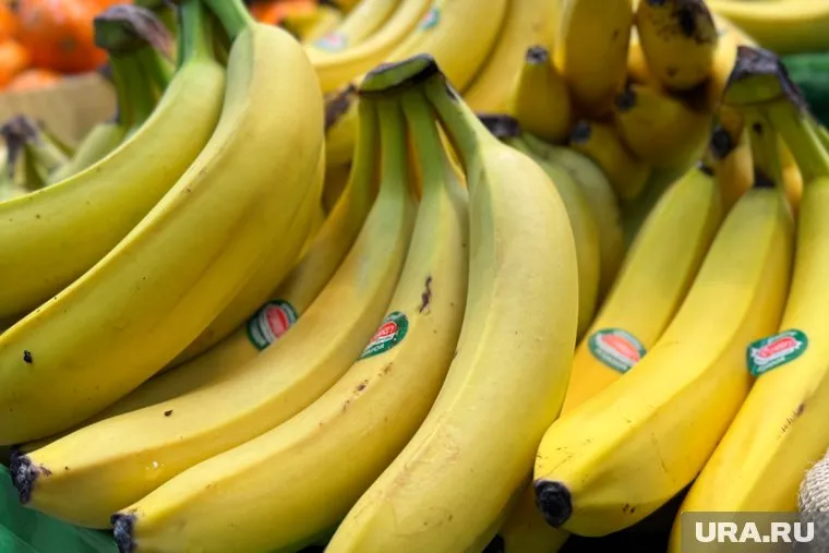 Торговое представительство Эквадора хочет встретиться с Россельхознадзором