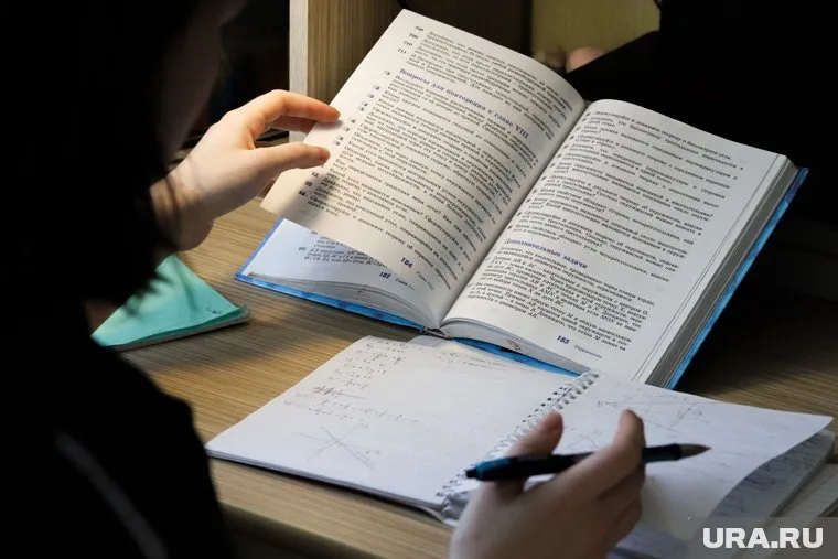 Психолог рассказала, что для маленьких детей особо важна наглядность в обучении