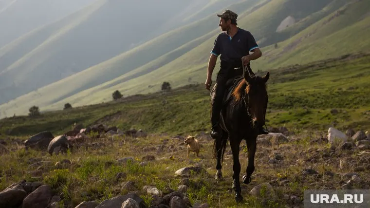 В горах в Карачаево-Черкессии погиб пастух со своим стадом (фото из архива)