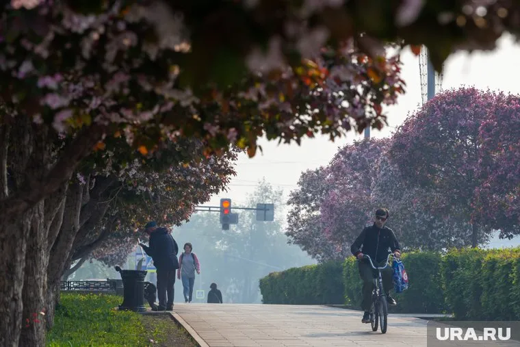 В регионе провели исследование воздуха из-за дымки с запахом гари