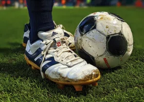 Фотография из галереи