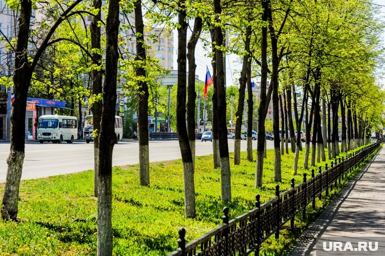 После похолодания и минусовых температур в регион придет тепло