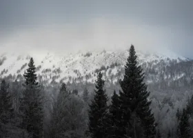 Побег по фальшивым документам с Украины: как идут самые масштабные в истории поиски семьи Усольцевых