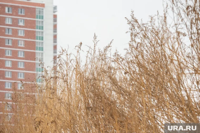 Ожидаются небольшие осадки