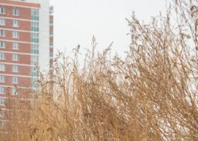 В Пермском крае в выходные будет аномально теплая погода