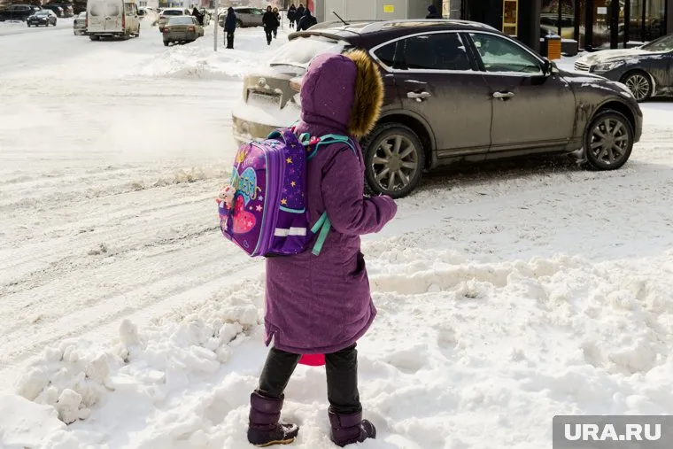 Несовершеннолетнюю девочку не могут найти с 27 ноября