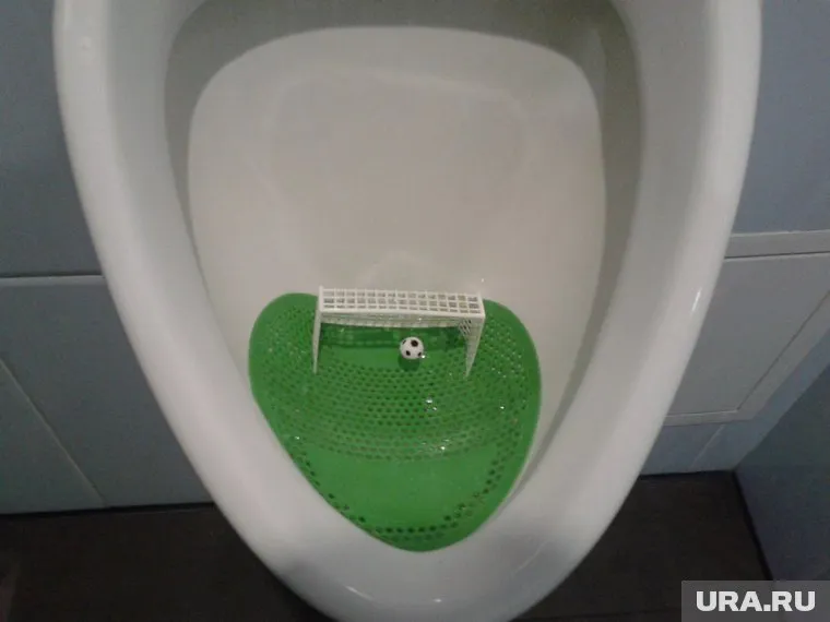 Новинка явно будет популярной