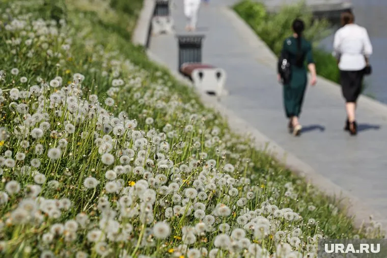 На улице днем температура дойдет до +30