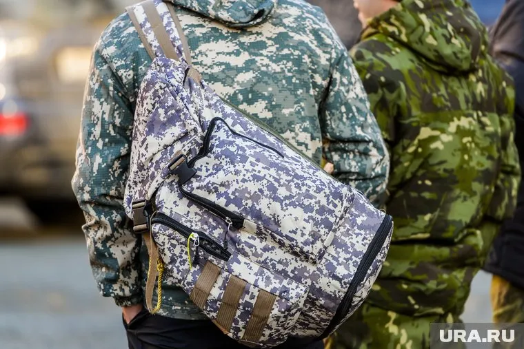 Из 1 500 обращений россиян об убежище в Германии было удовлетворено только 90