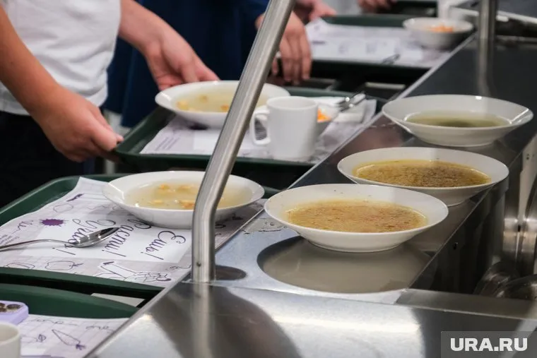 В рацион школьников зимой включат блюда из мяса индейки