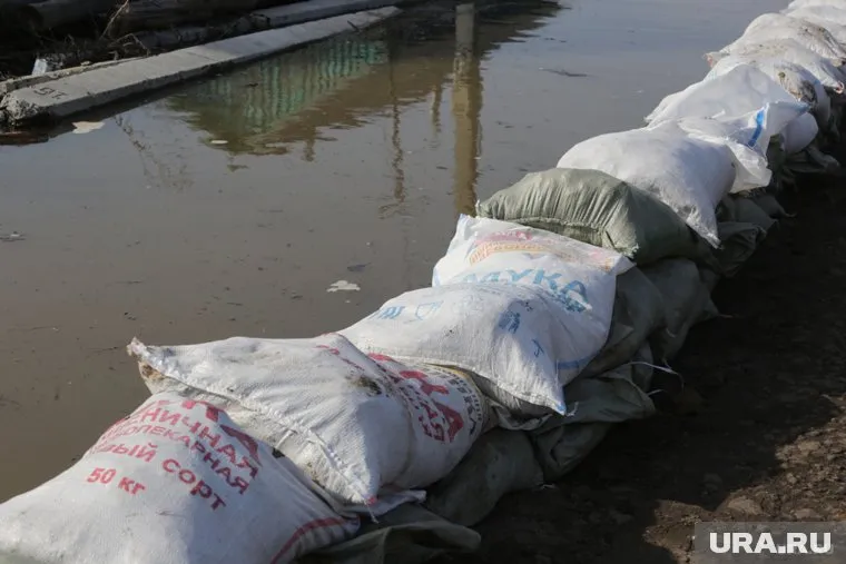 После длительного периода роста наметилась тенденция к снижению уровня реки