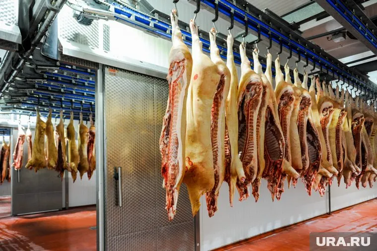Вывоз свиных полутуш остановили из-за ограничений со стороны Казахстана