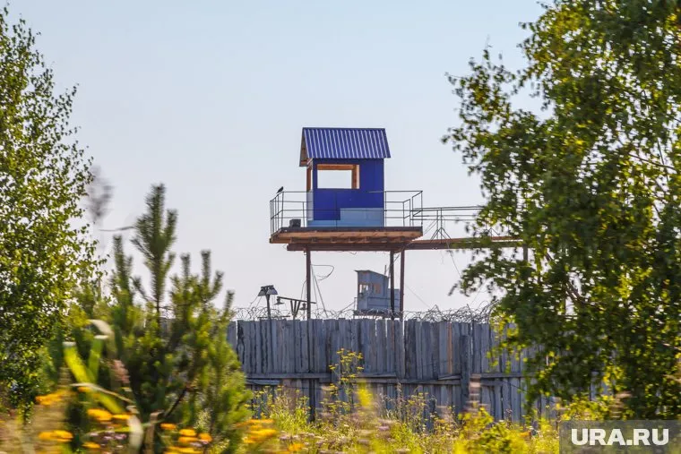 Следователи возбудили дело по статье о халатности после реакции Александра Бастрыкина на произошедшее в ИК-10