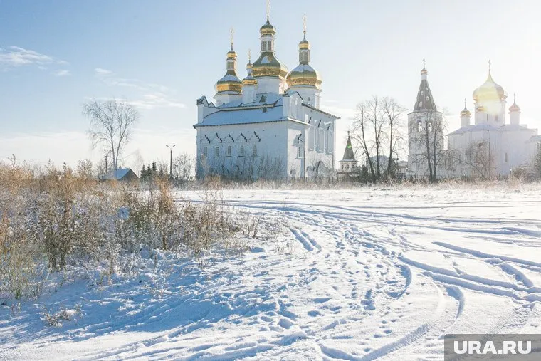 2 февраля православные почтят память Евфимия Великого