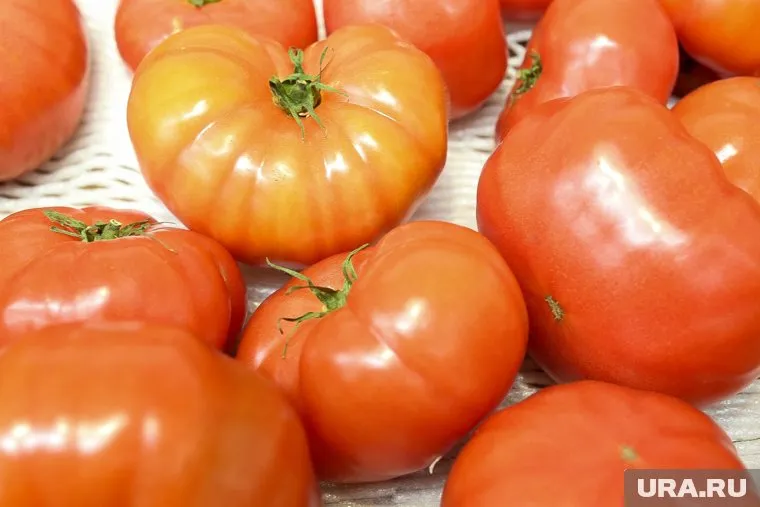 Зараженные овощи уничтожили