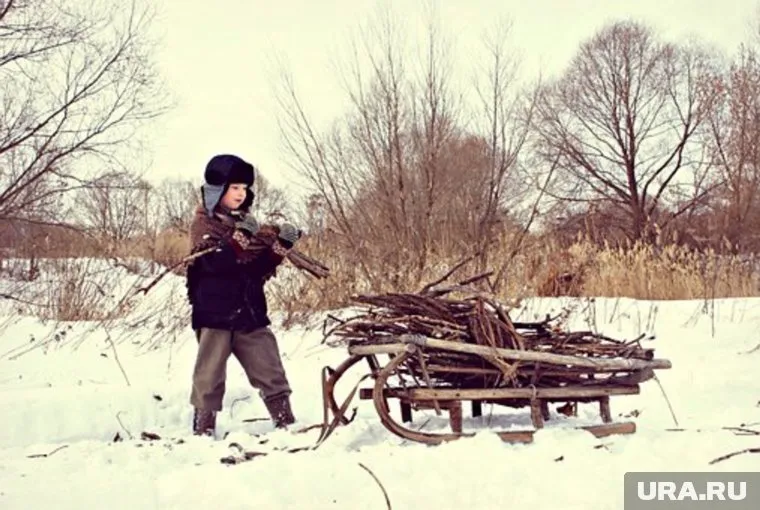 Политики разрешили жителям собирать хворост и валежник «ручным способом»