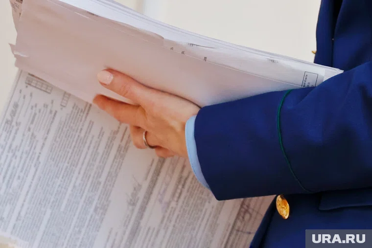 Первое судебное заседание по делу Федотовой Анны. Курган