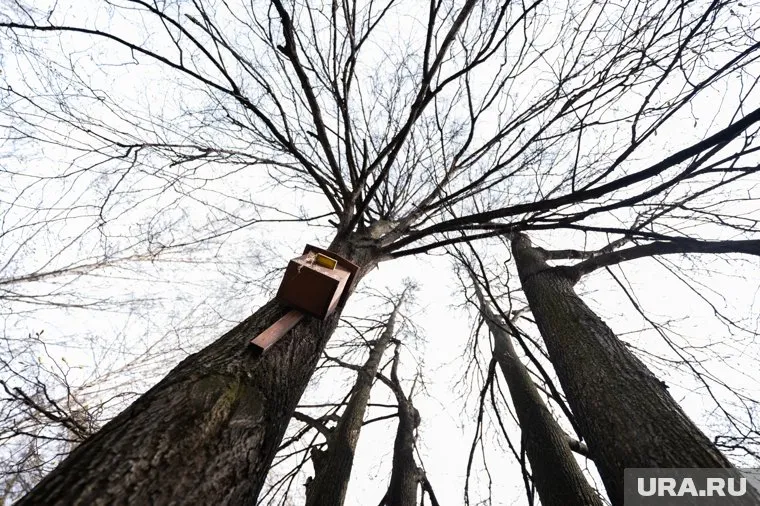 В Екатеринбурге 7 октября будет малооблачно