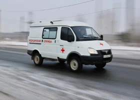 Фотография из галереи