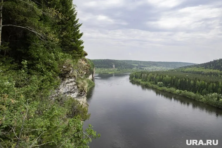 Проекты по охране природы получили деньги