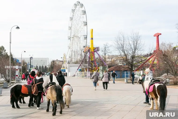 Жители жалуются на аниматоров в Тюмени