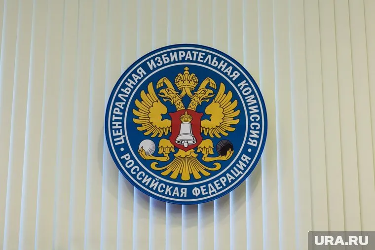 ЦИК направил в надзорное ведомство запрос по девяти партиям