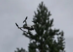 Фотография из галереи