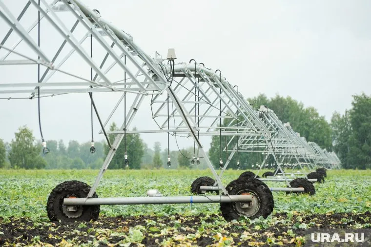Первый из просроченных договоров лизинга в копилке АХ «Алтай» датируется 2018 годом