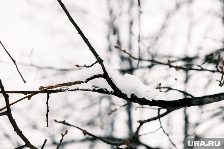 В горных районах региона не исключены зимние осадки