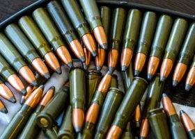 Генпрокуратура готовит иск об изъятии Климовского патронного завода