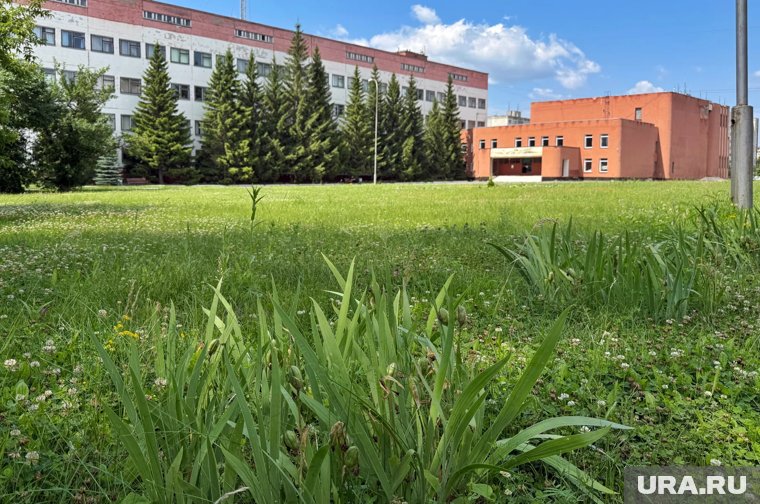 Курганский университет получил статус научного центра мирового уровня. Фото