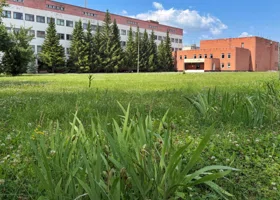 Курганский университет получил статус научного центра мирового уровня