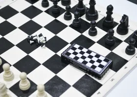 Шадринская шахматистка вошла в число сильнейших на Урале