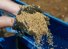 В Госдуме указали на недостаточные расходы на АПК в проекте федерального бюджета