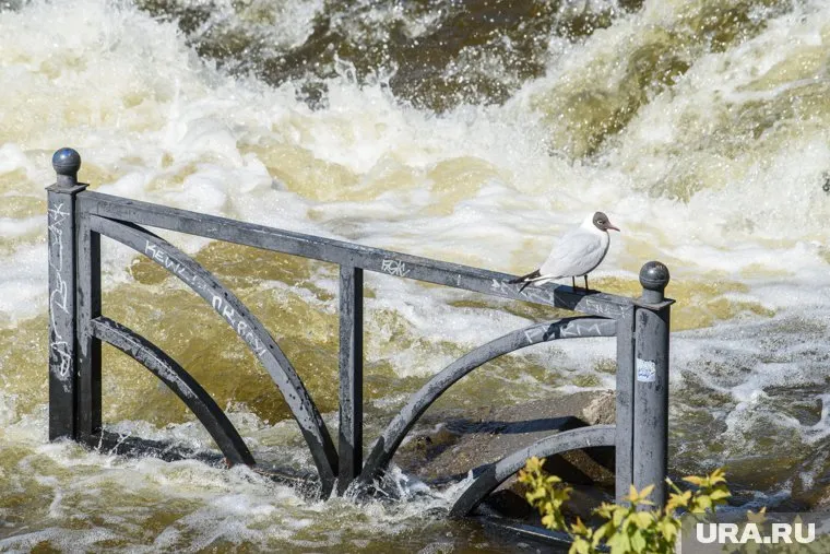 Река Каменка обрушила дорогу (архивное фото)