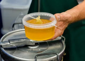 Правда ли, что мед укрепляет иммунитет, и как его нельзя давать детям